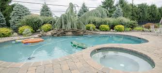 Image result for salt water pool