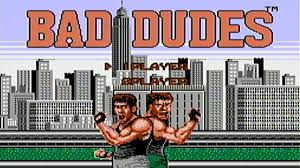 Image result for bad dudes