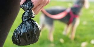 Image result for dog poop bag